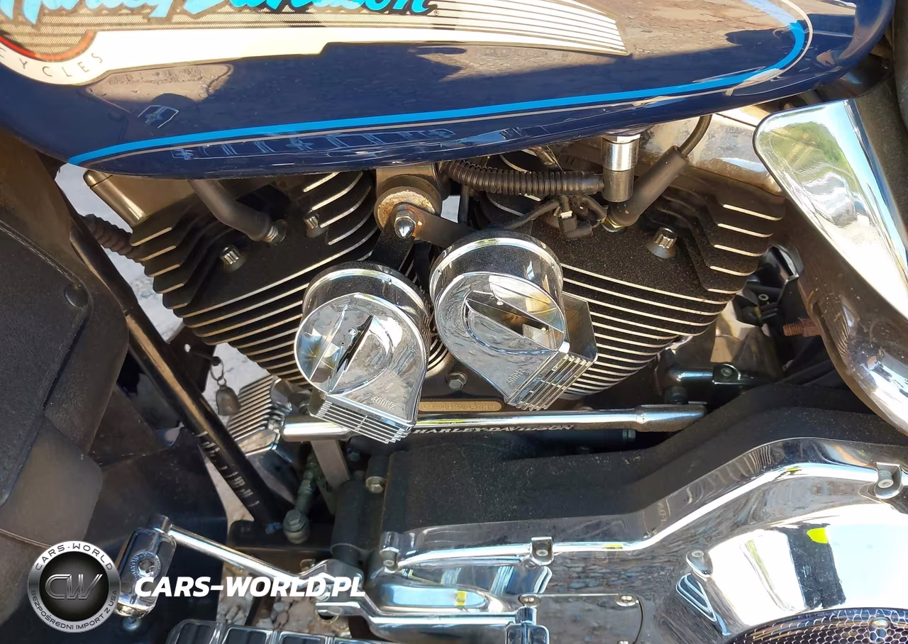 2004 Harley-Davidson Flhtcui Shrine VIN:1HD1FLW1X4Y616864 - 9