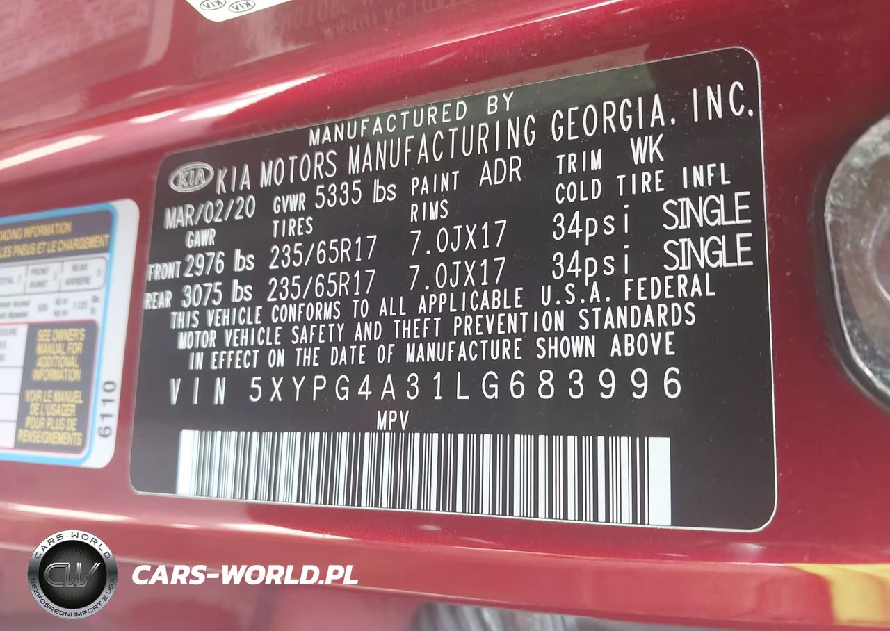 2020 Kia Sorento 2.4L Lx VIN:5XYPG4A31LG683996 - 9