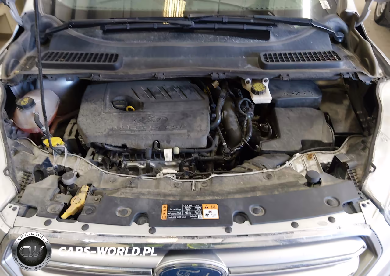 2017 Ford Escape Se VIN:1FMCU0GD2HUB28587 - 10