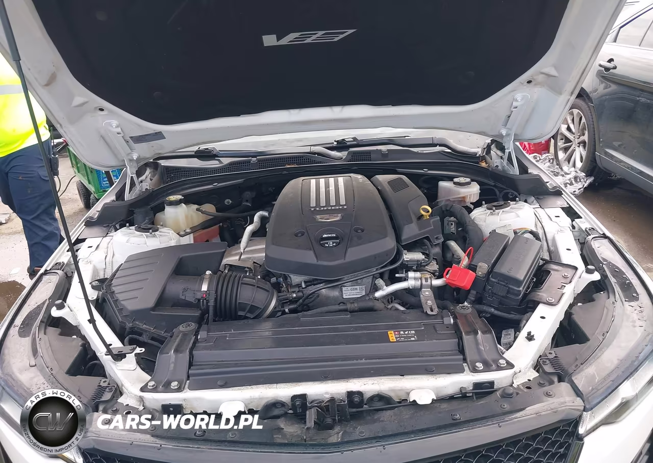2020 Cadillac Ct4 V-Series VIN:1G6DH5RL4L0126809 - 10