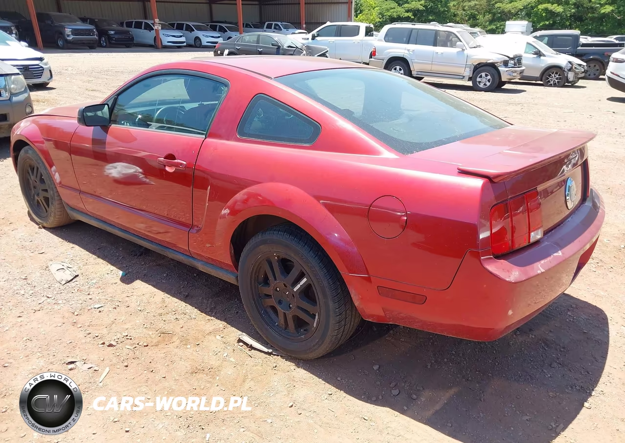 2007 Ford Mustang V6 Deluxe-V6 Premium VIN:1ZVFT80N975337062 - 3