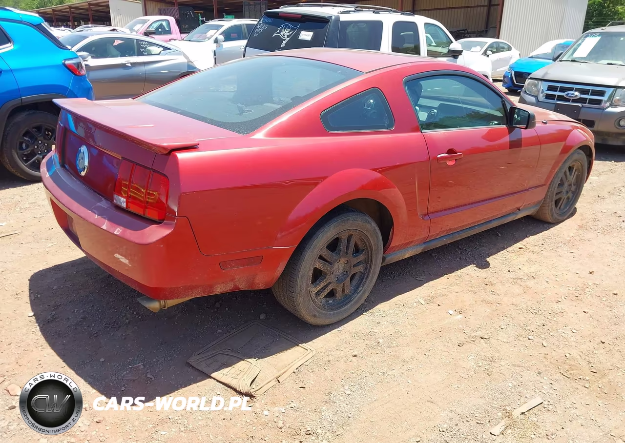 2007 Ford Mustang V6 Deluxe-V6 Premium VIN:1ZVFT80N975337062 - 4