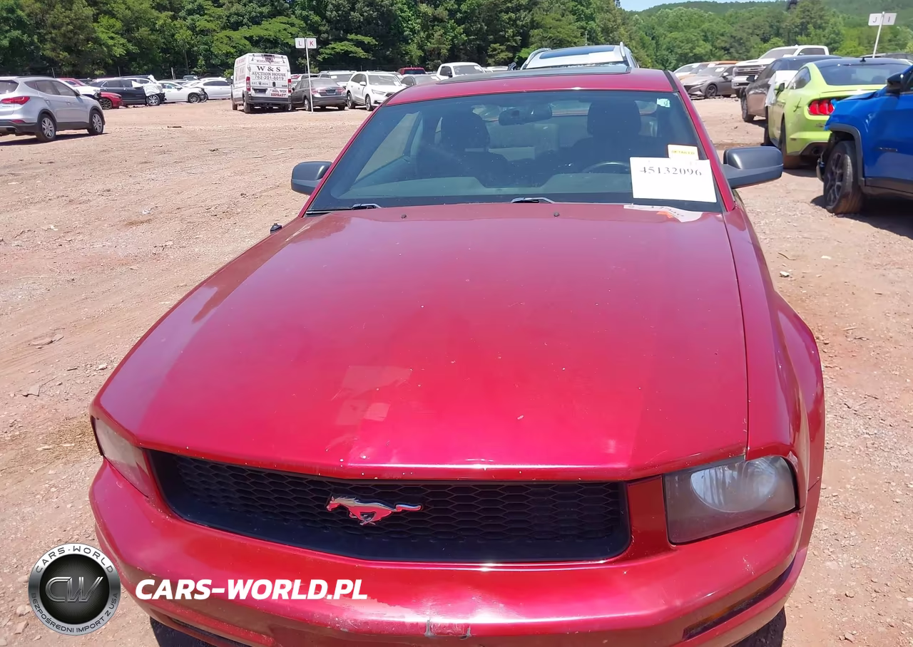 2007 Ford Mustang V6 Deluxe-V6 Premium VIN:1ZVFT80N975337062 - 6