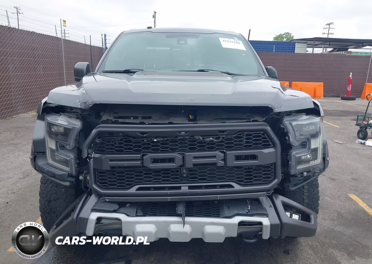 2017 Ford F-150 Raptor VIN:1FTFW1RG5HFC34321 - 12