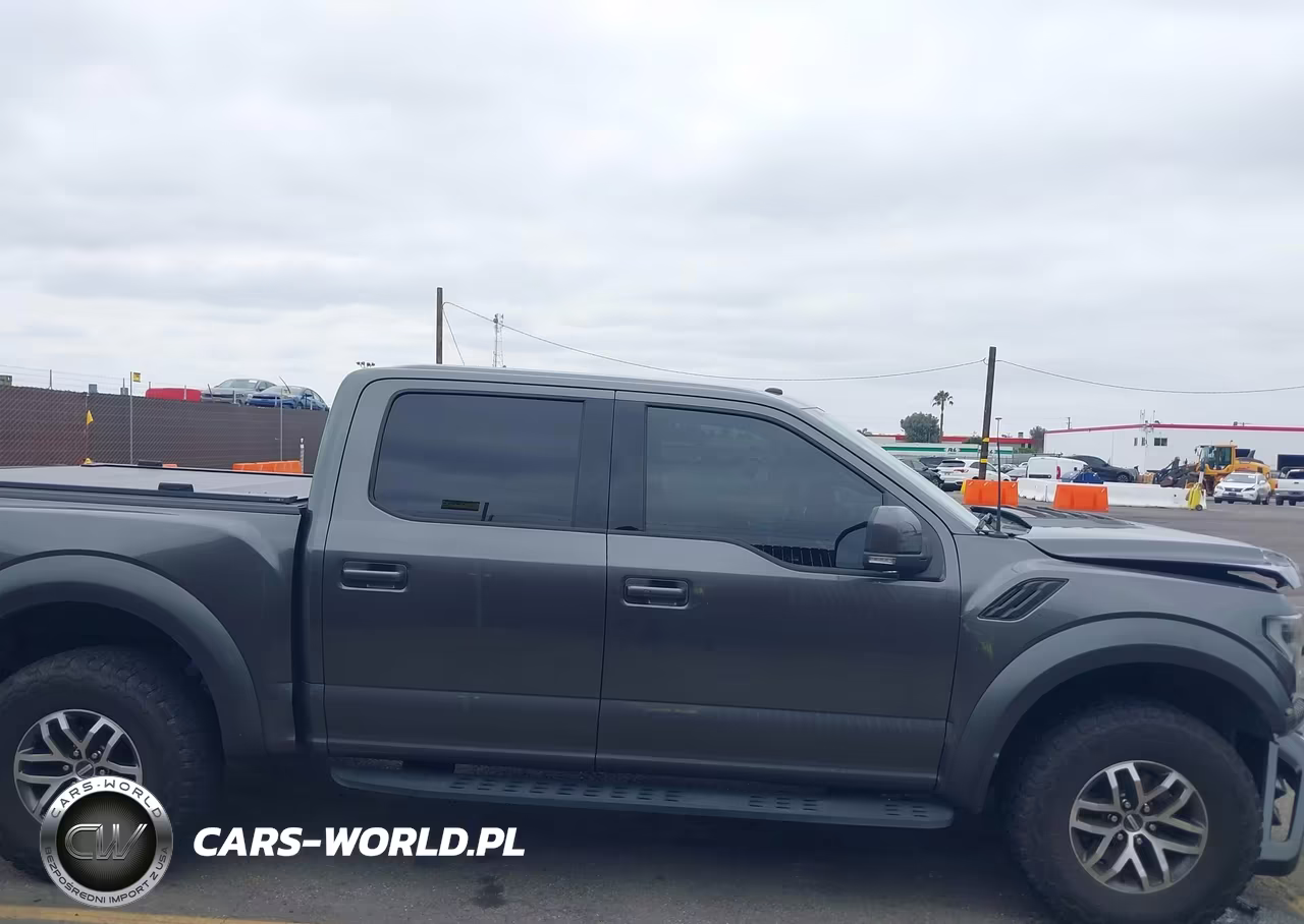 2017 Ford F-150 Raptor VIN:1FTFW1RG5HFC34321 - 13