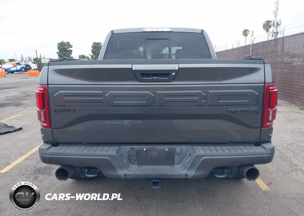 2017 Ford F-150 Raptor VIN:1FTFW1RG5HFC34321 - 16