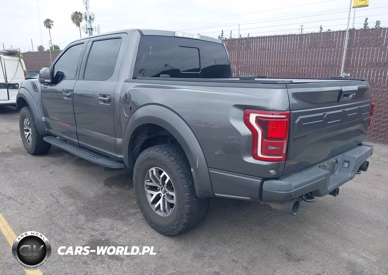 2017 Ford F-150 Raptor VIN:1FTFW1RG5HFC34321 - 3