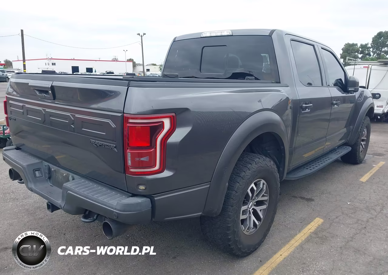 2017 Ford F-150 Raptor VIN:1FTFW1RG5HFC34321 - 4