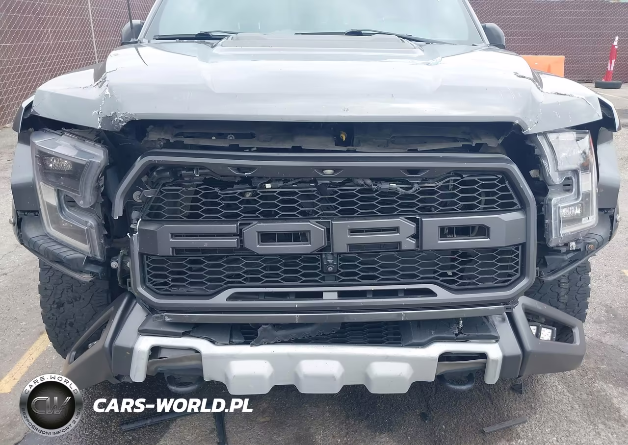 2017 Ford F-150 Raptor VIN:1FTFW1RG5HFC34321 - 6