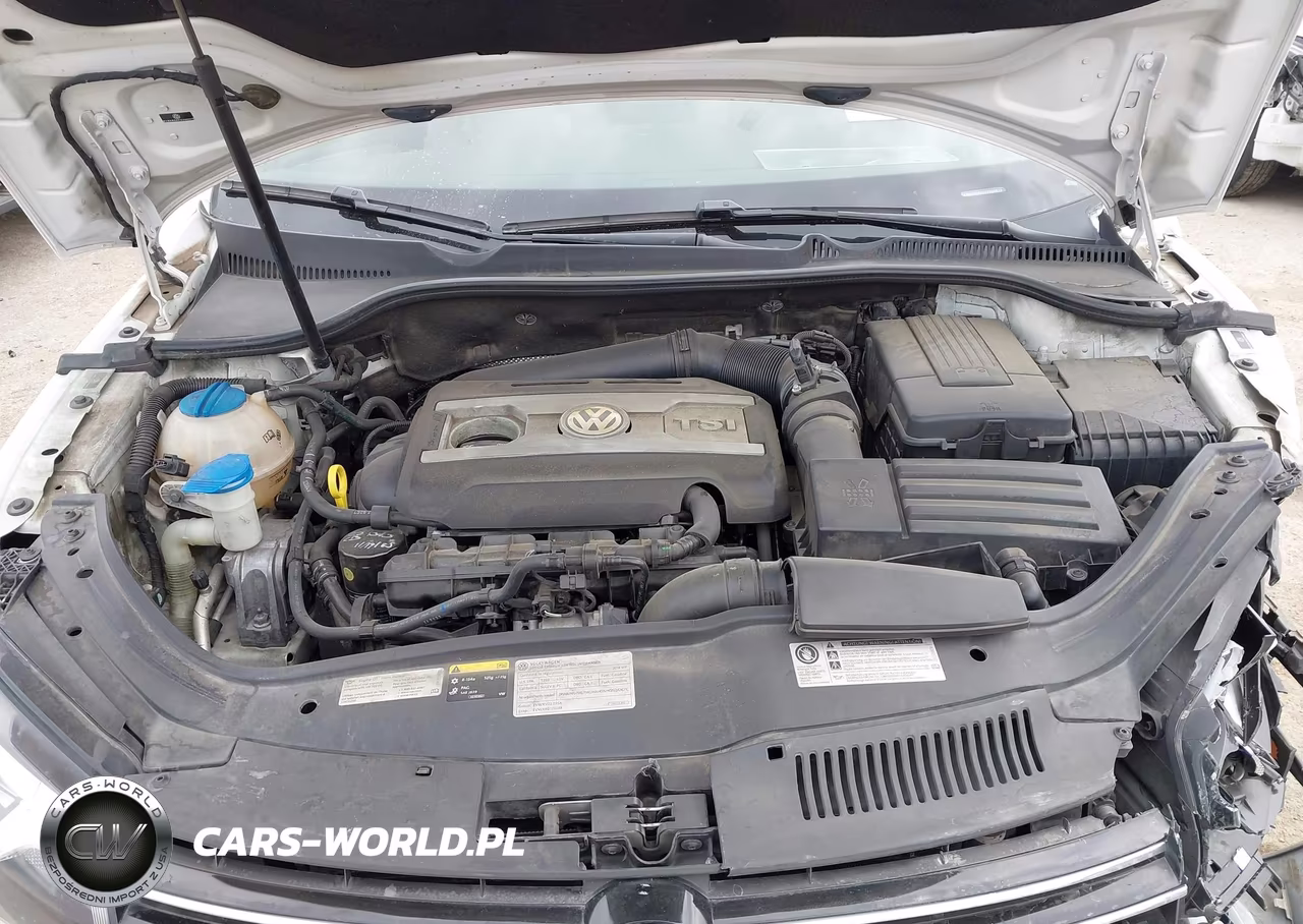 2014 Volkswagen Eos Komfort VIN:WVWBW8AH1EV000979 - 10