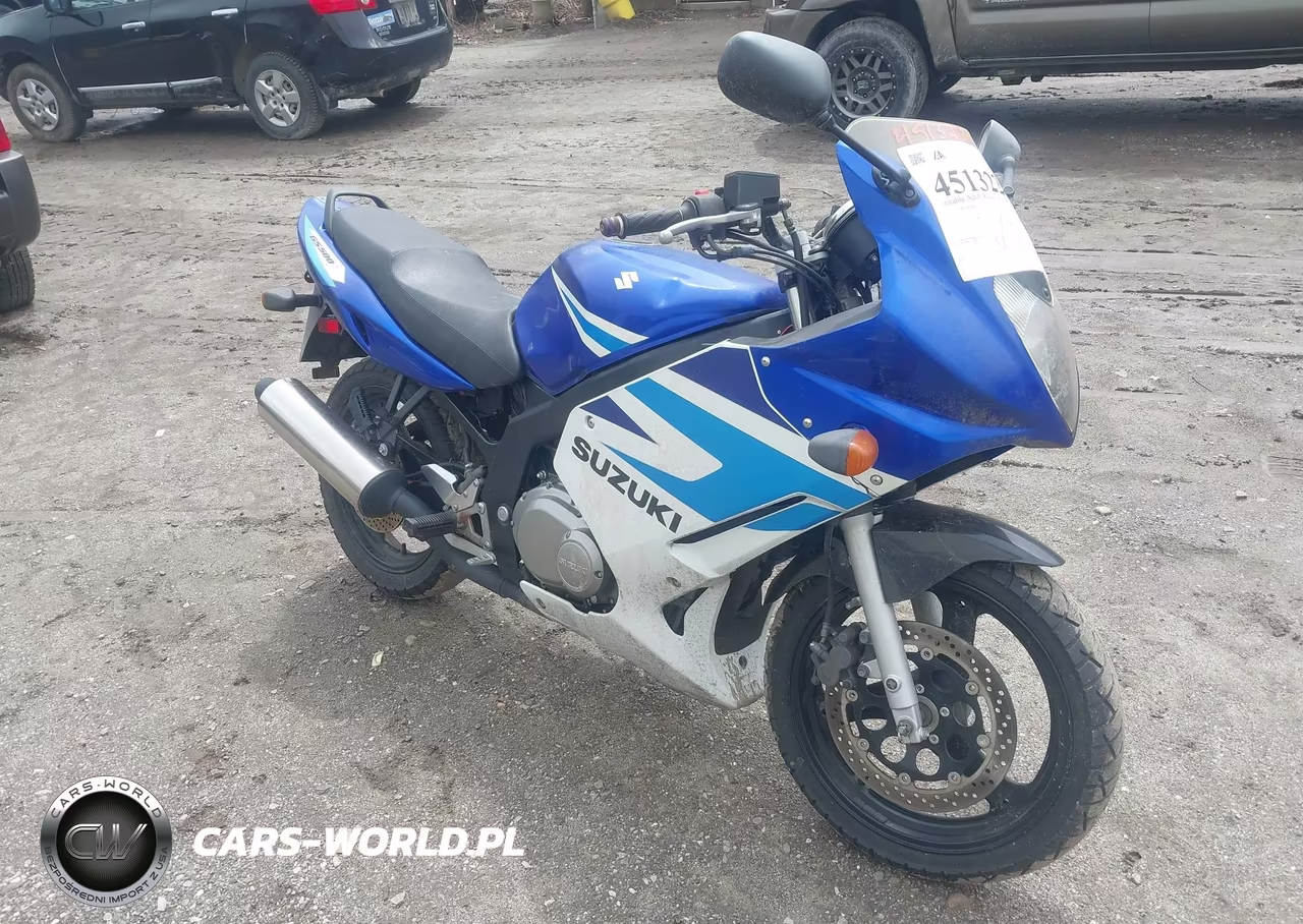2005 Suzuki Gs500 Fk