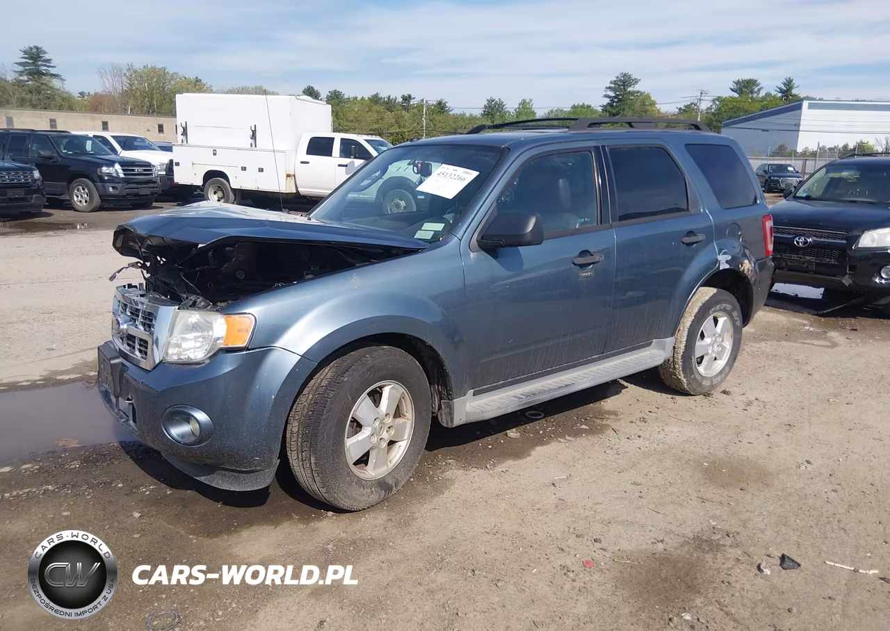 2011 Ford Escape Xlt VIN:1FMCU9D75BKA85496 - 2