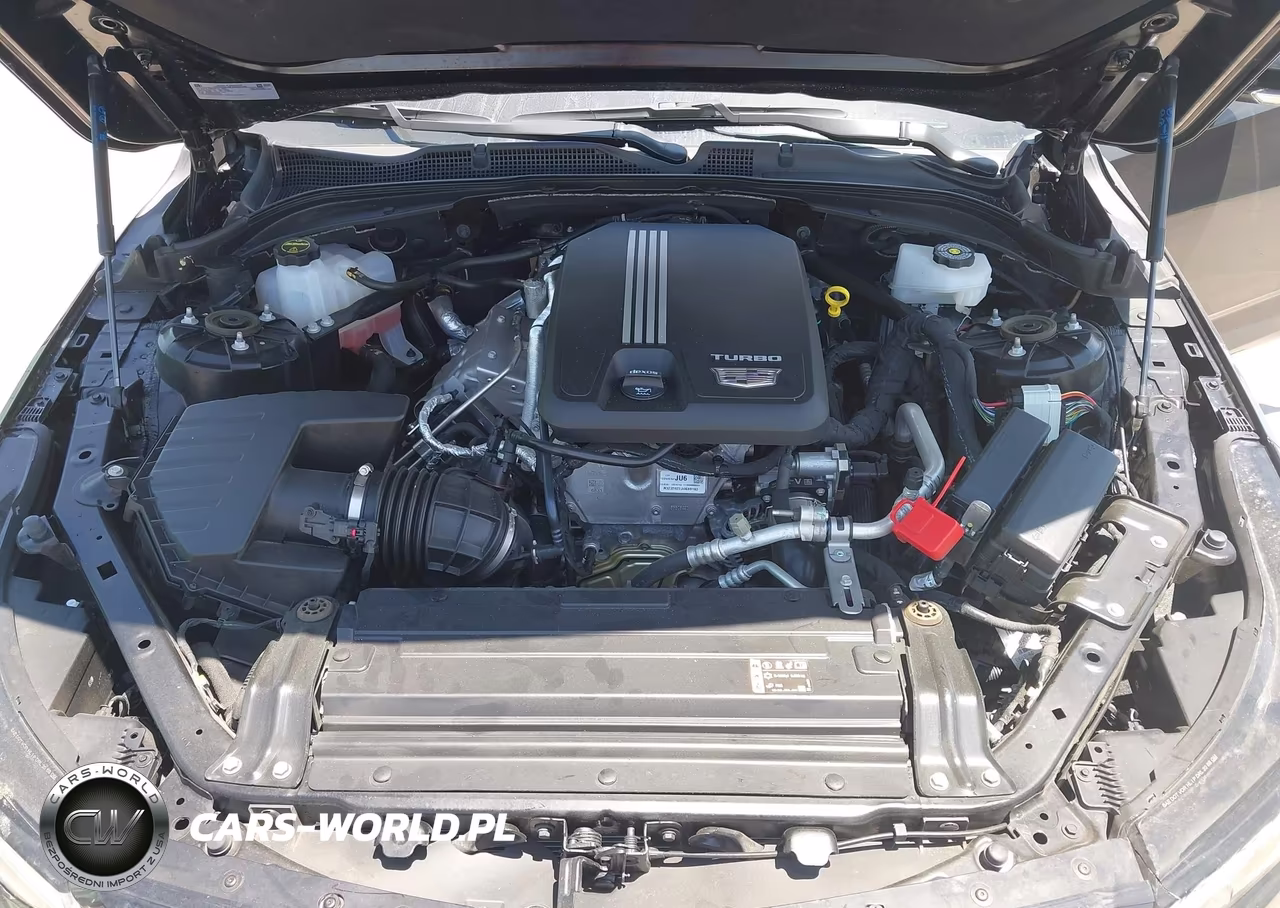 2024 Cadillac Ct4 Premium Luxury VIN:1G6DB5RK8R0114504 - 10