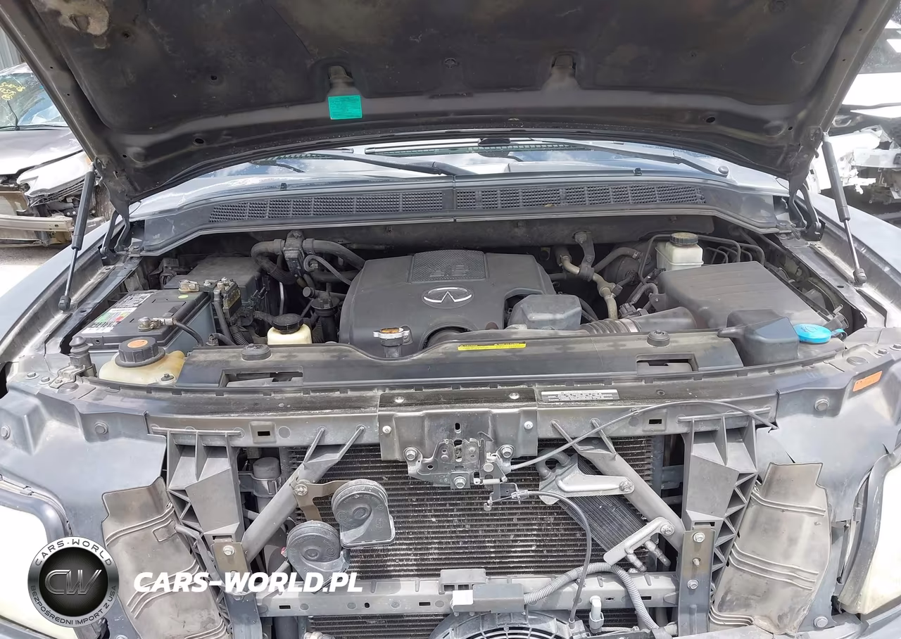 2010 Infiniti Qx56 VIN:5N3ZA0NF4AN904653 - 10