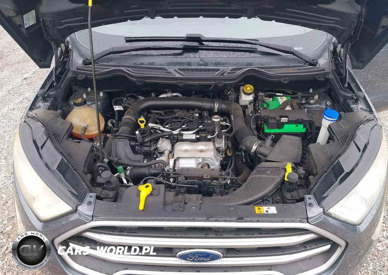 2018 Ford Ecosport Se VIN:MAJ3P1TE1JC215141 - 10