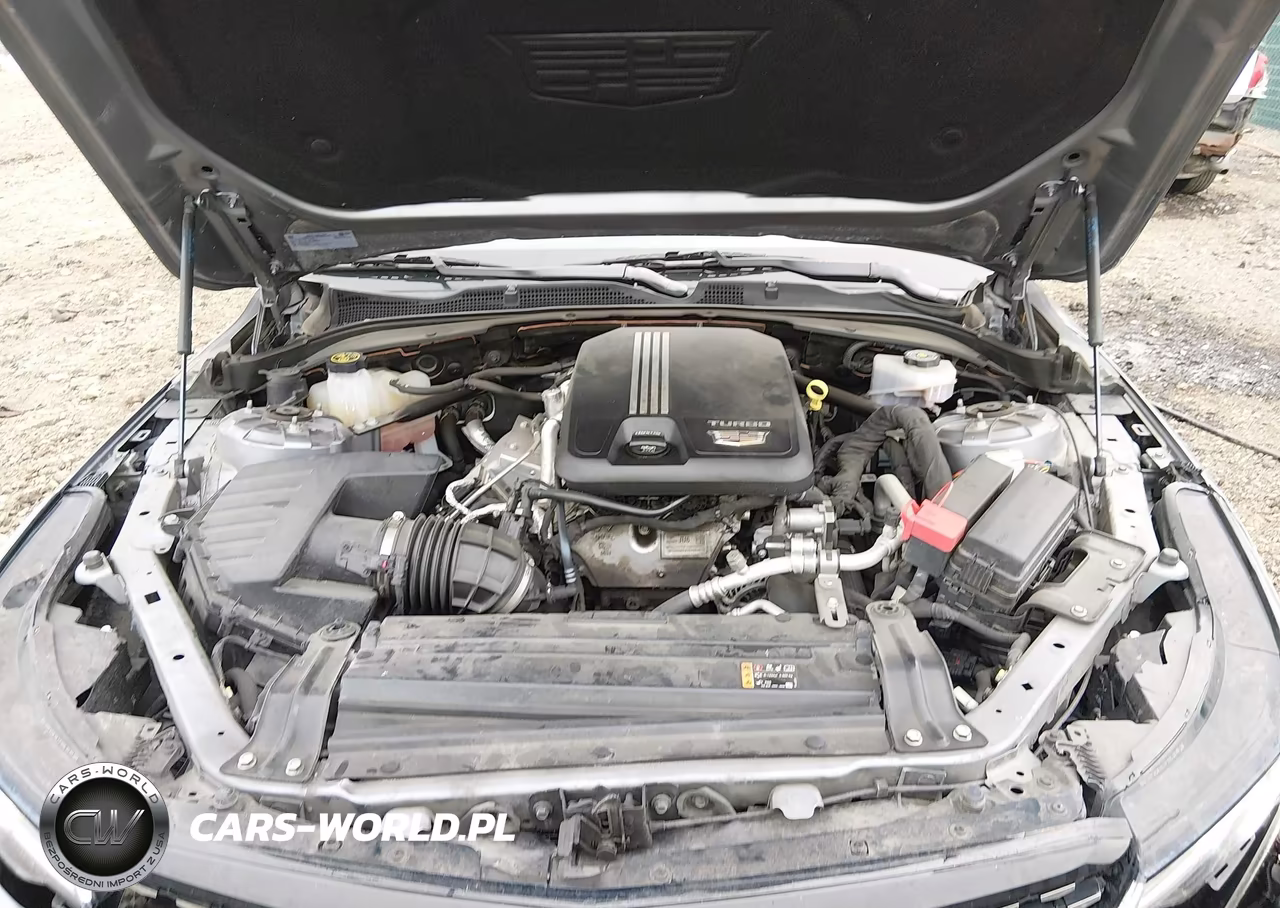 2022 Cadillac Ct4 Premium Luxury VIN:1G6DB5RK0N0120503 - 10