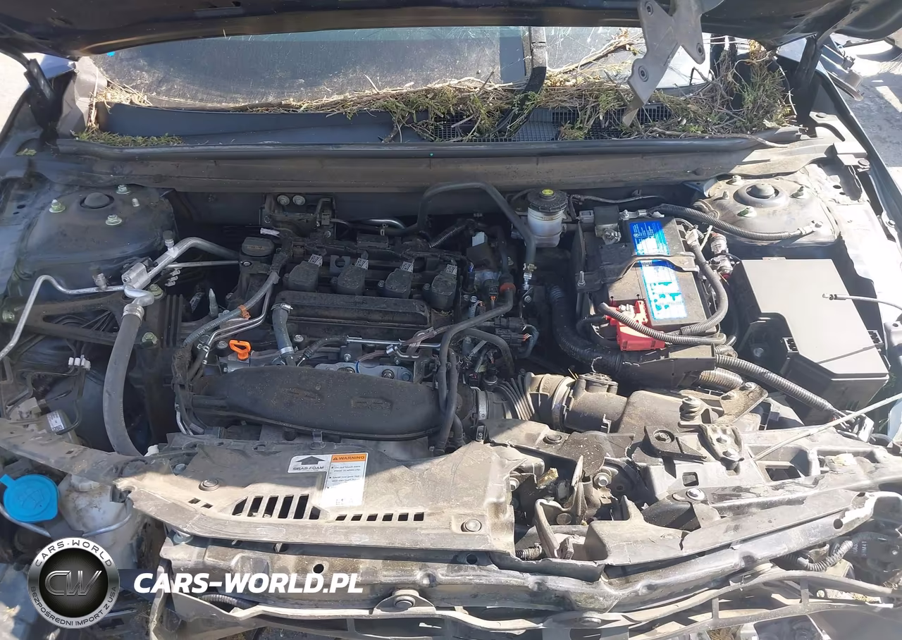 2024 Honda Accord Ex VIN:1HGCY1F32RA016724 - 10