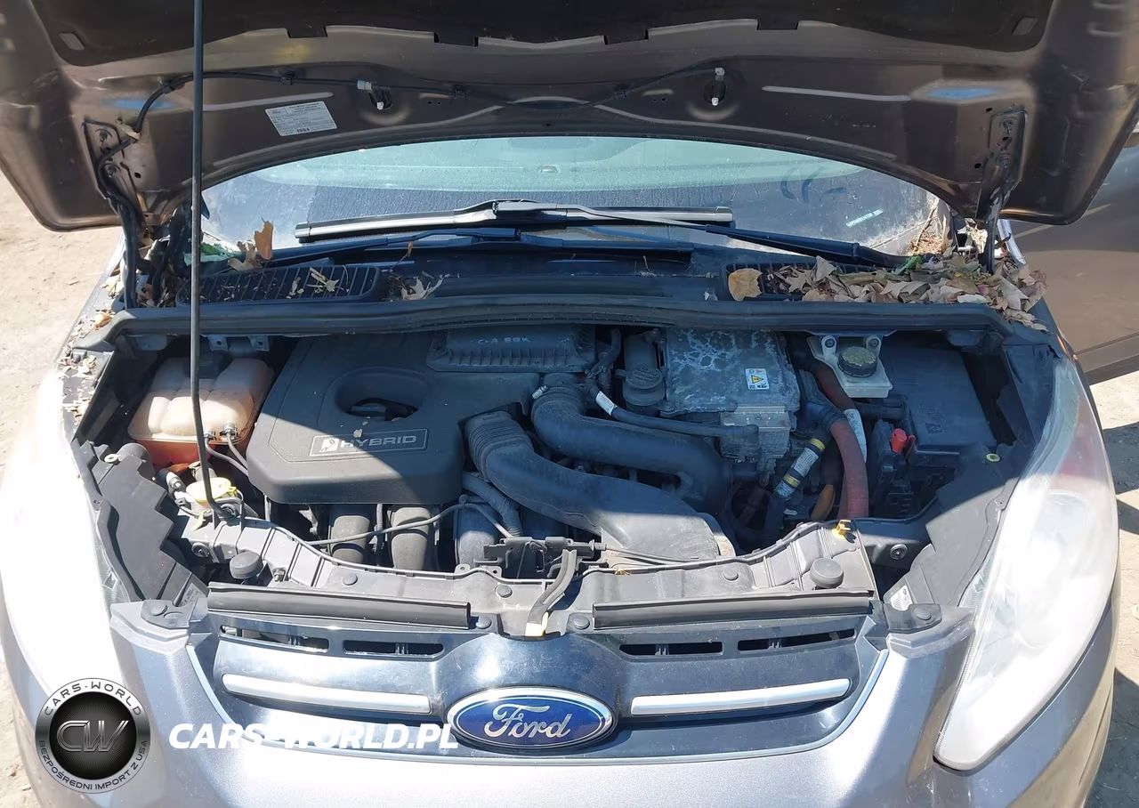 2013 Ford C-Max Hybrid Se VIN:1FADP5AU9DL547208 - 10