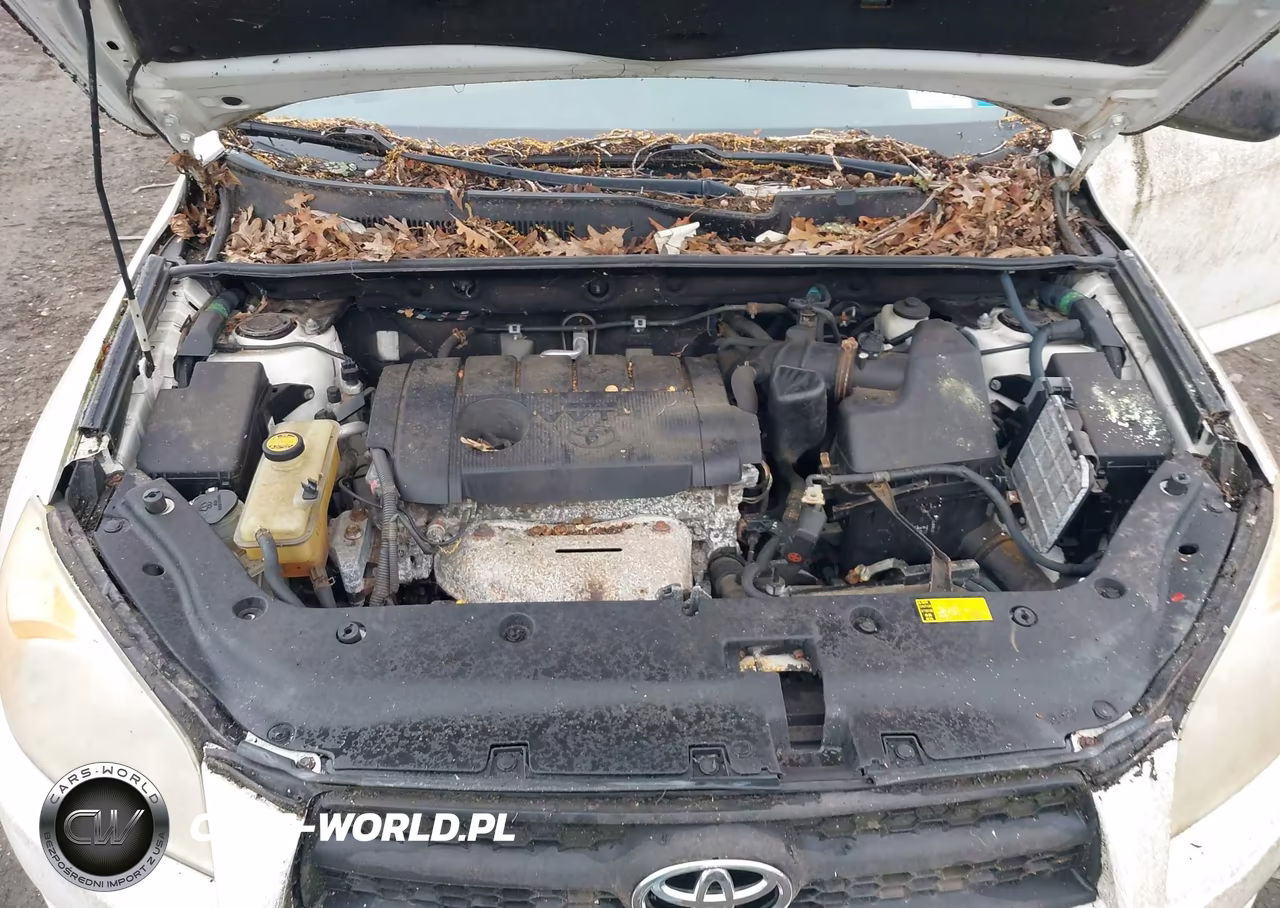 2011 Toyota Rav4 VIN:2T3JF4DV3BW144706 - 10
