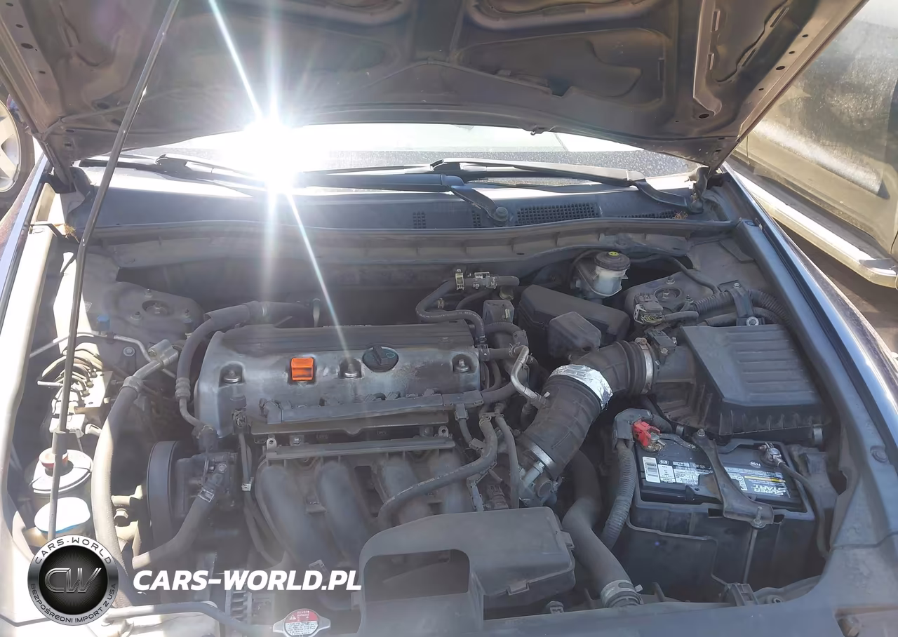 2010 Honda Accord 2.4 Lx VIN:1HGCP2F32AA136732 - 10
