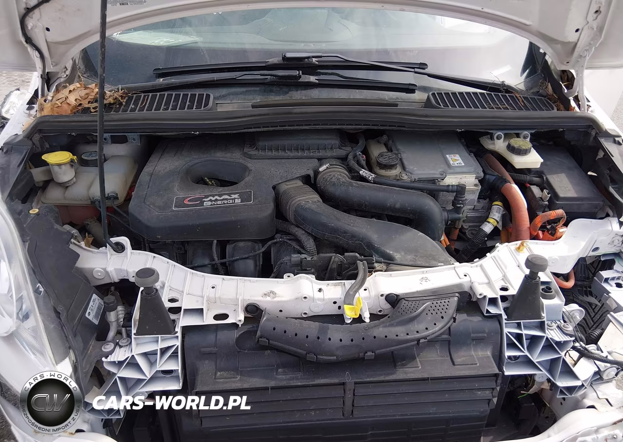 2013 Ford C-Max Energi Sel VIN:1FADP5CU7DL537760 - 10