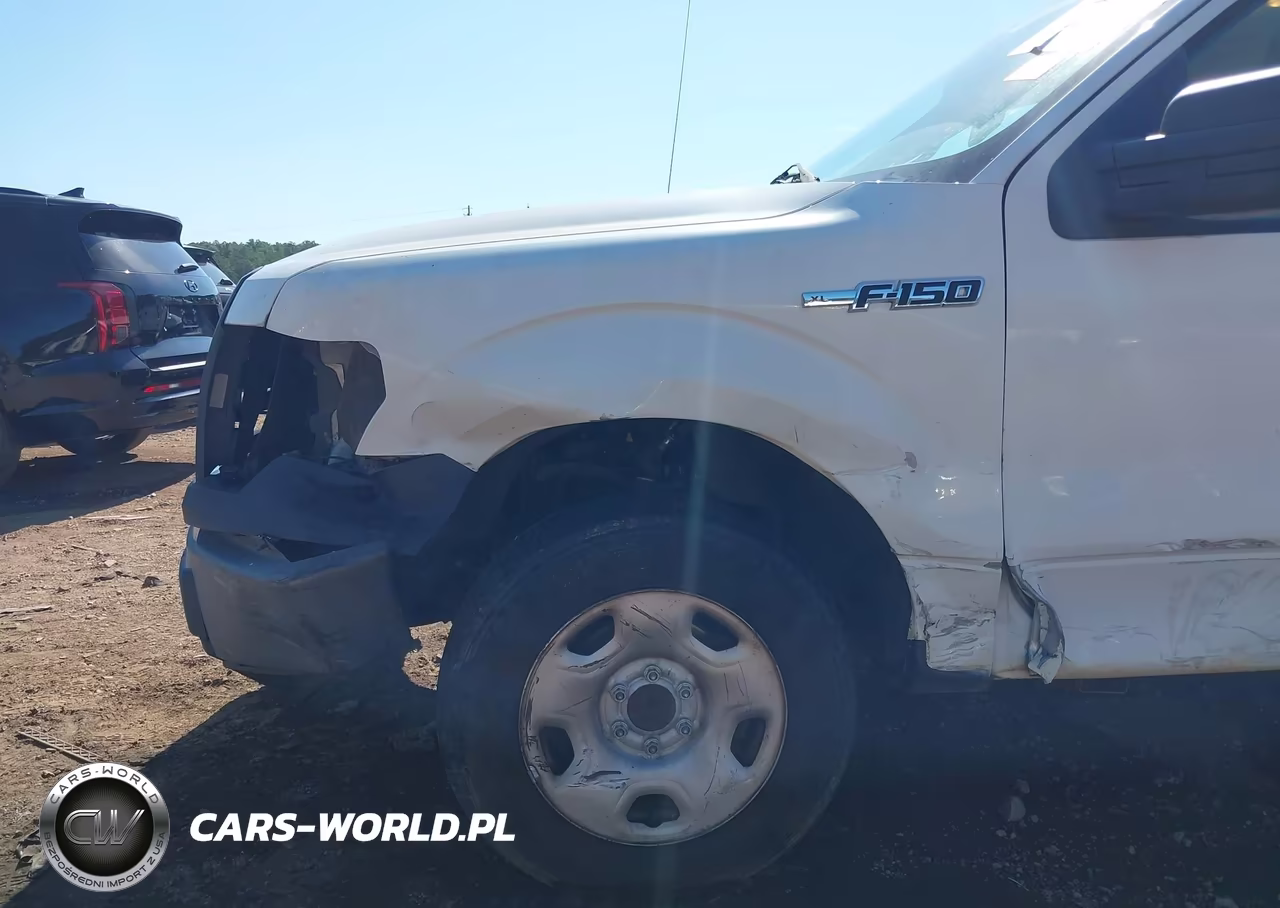 2009 Ford F-150 Stx-Xl-Xlt VIN:1FTRF12W09KA97182 - 13