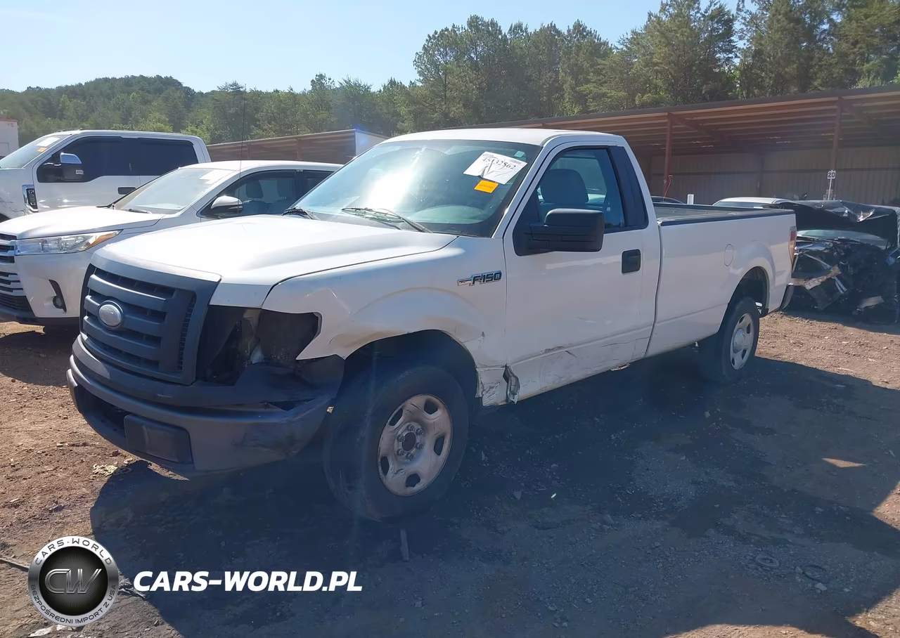 2009 Ford F-150 Stx-Xl-Xlt VIN:1FTRF12W09KA97182 - 2