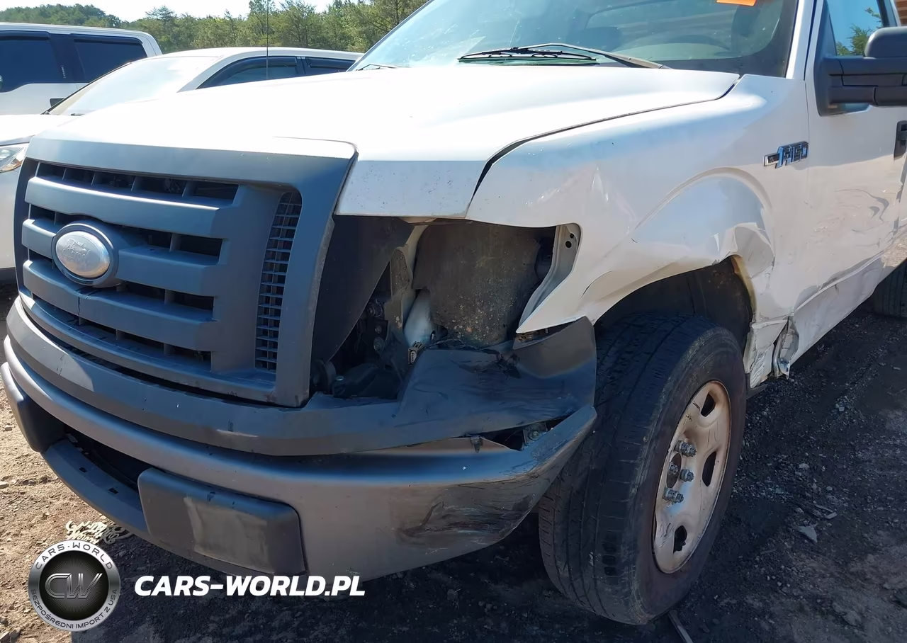 2009 Ford F-150 Stx-Xl-Xlt VIN:1FTRF12W09KA97182 - 6