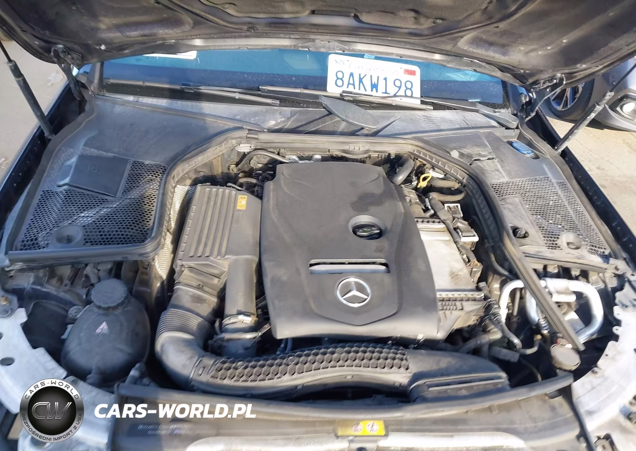 2018 Mercedes-Benz C 300 VIN:55SWF4JB7JU250675 - 10