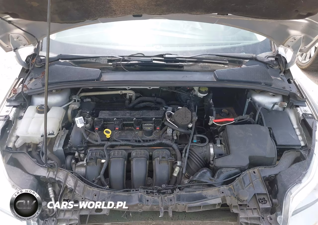 2014 Ford Focus Se VIN:1FADP3F21EL293409 - 10
