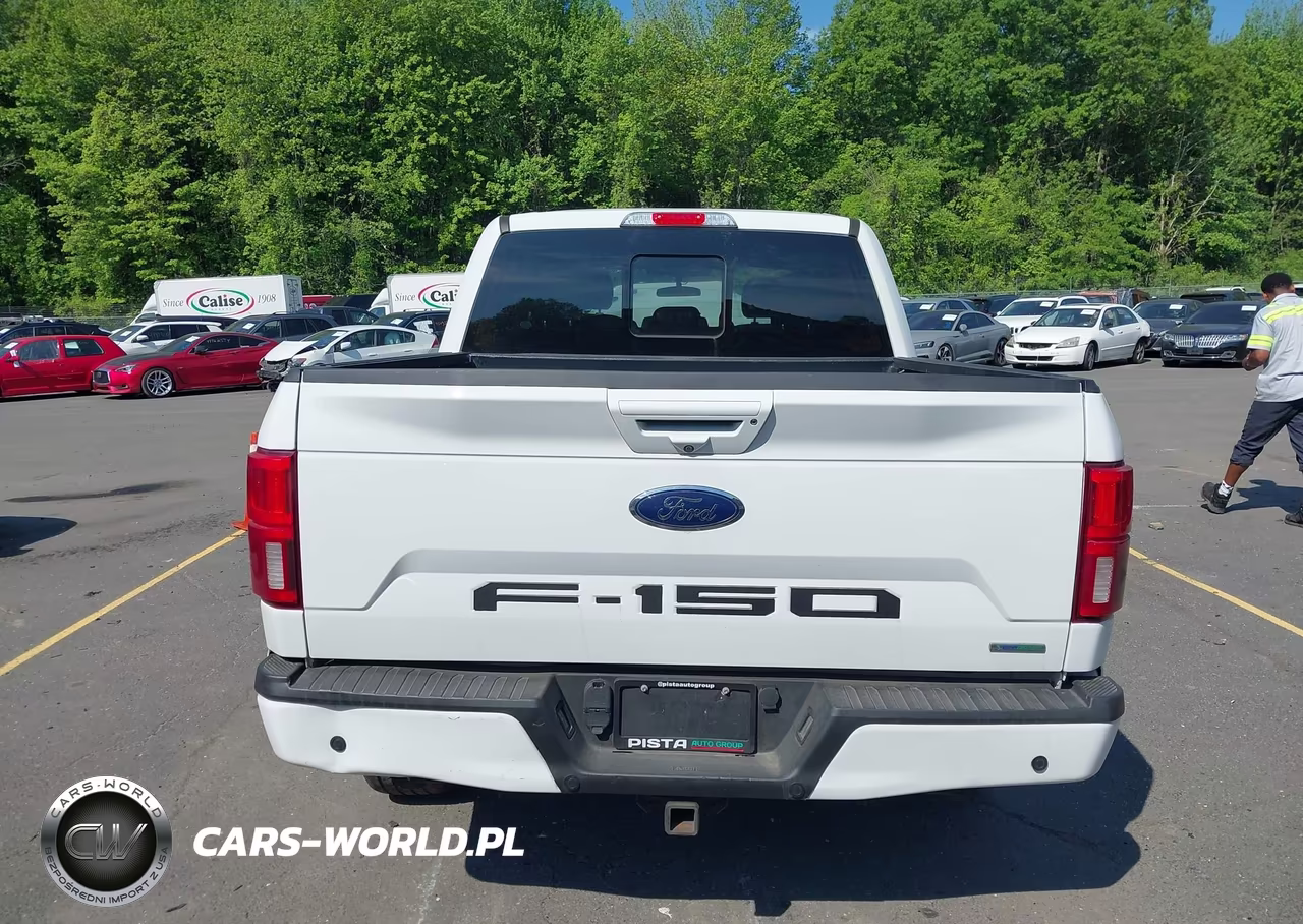 2020 Ford F-150 Lariat VIN:1FTEW1C48LFB51050 - 16