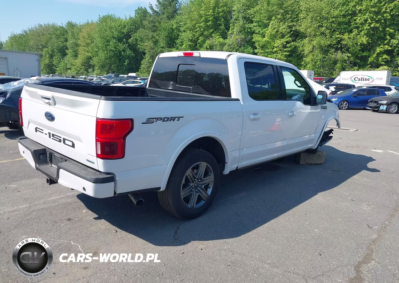 2020 Ford F-150 Lariat VIN:1FTEW1C48LFB51050 - 4