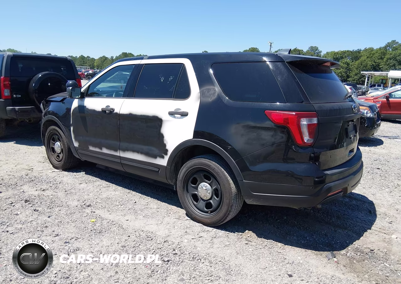 2018 Ford Police Interceptor Utility VIN:1FM5K8ARXJGA21793 - 3