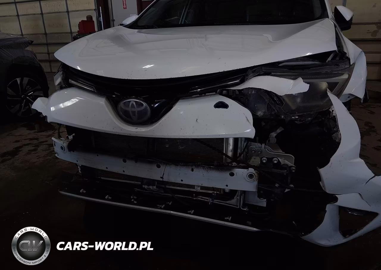 2018 Toyota Rav4 Xle VIN:JTMRFREV7JJ189806 - 18