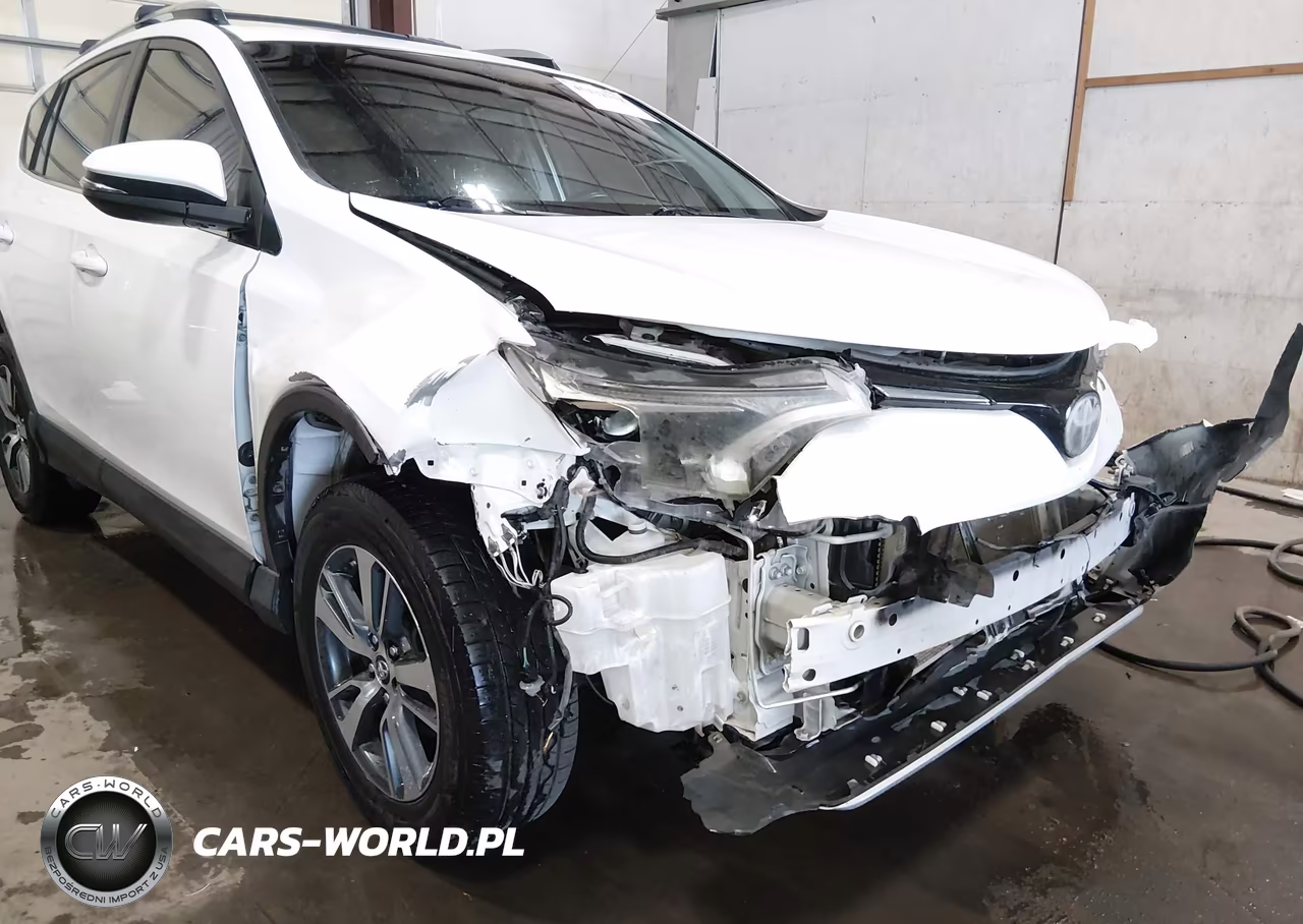 2018 Toyota Rav4 Xle VIN:JTMRFREV7JJ189806 - 19