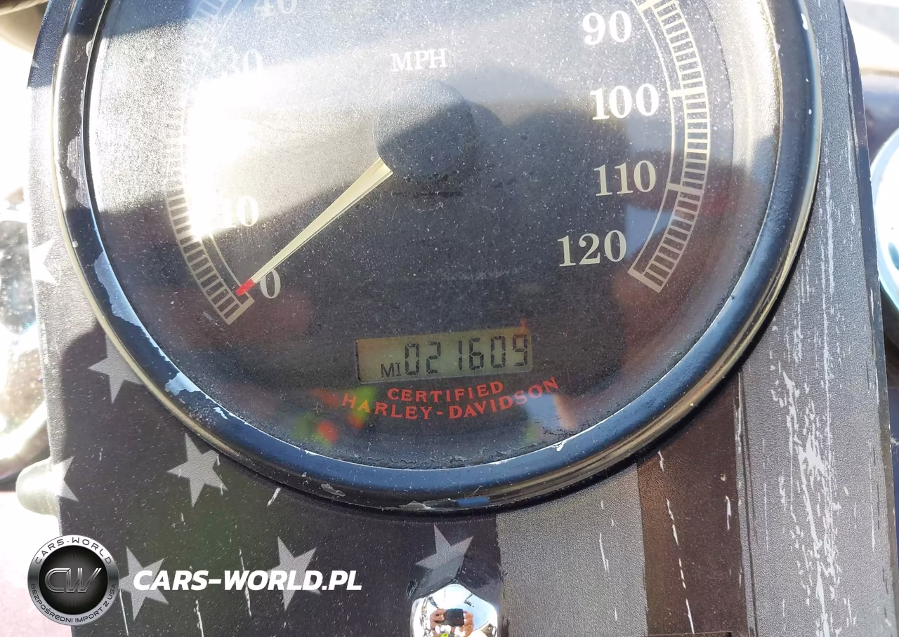 2006 Harley-Davidson Flhri VIN:1HD1FBW116Y679803 - 7