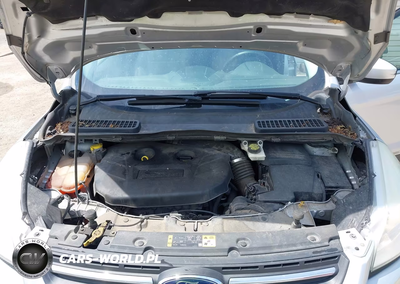 2014 Ford Escape Se VIN:1FMCU0G99EUD73197 - 10