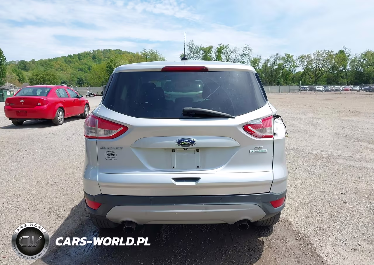 2014 Ford Escape Se VIN:1FMCU0G99EUD73197 - 17