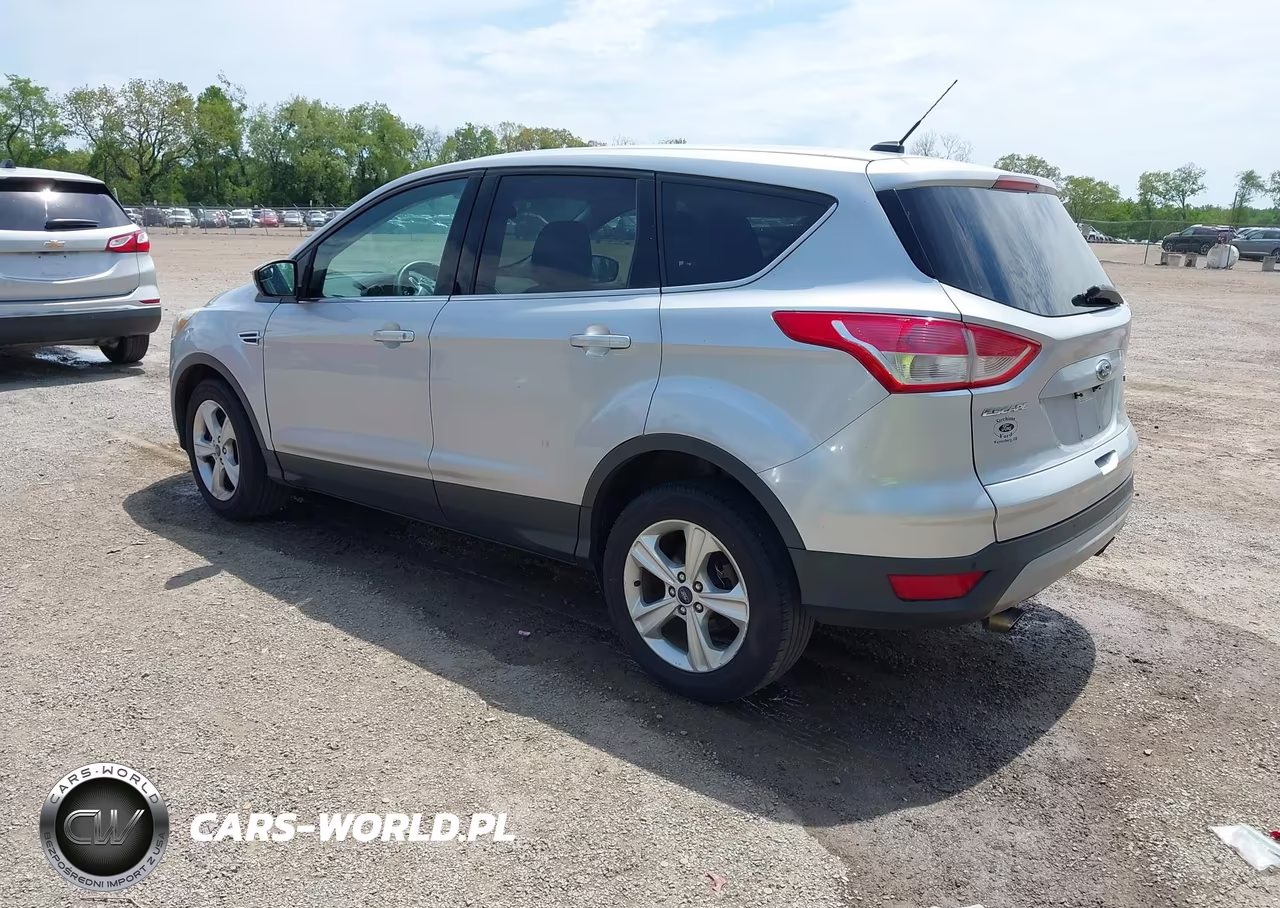 2014 Ford Escape Se VIN:1FMCU0G99EUD73197 - 3