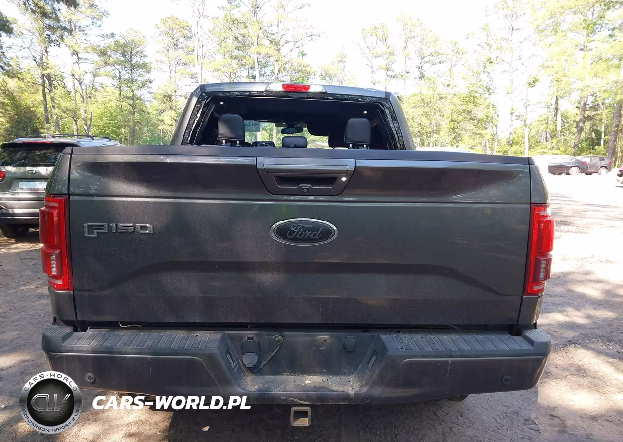 2015 Ford F-150 Lariat VIN:1FTEW1EG8FFA75292 - 16
