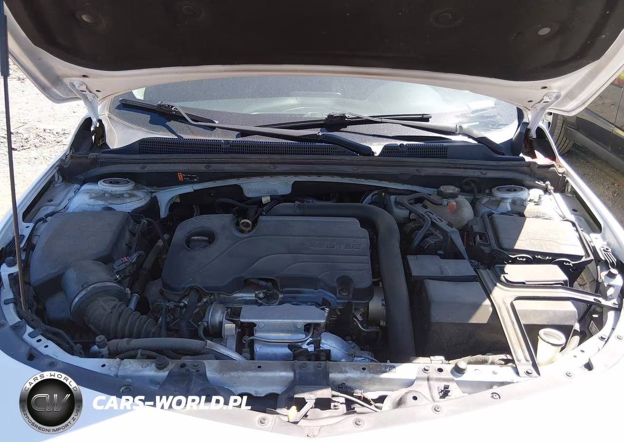 2019 Chevrolet Malibu Lt VIN:1G1ZD5ST3KF210777 - 10