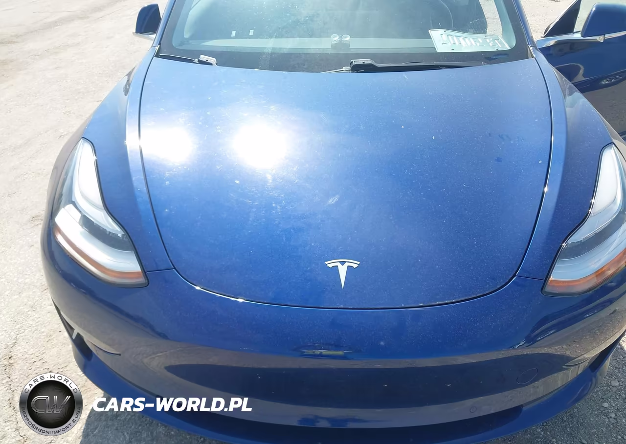 2019 Tesla Model 3 Long Range-Performance VIN:5YJ3E1EB9KF452712 - 10