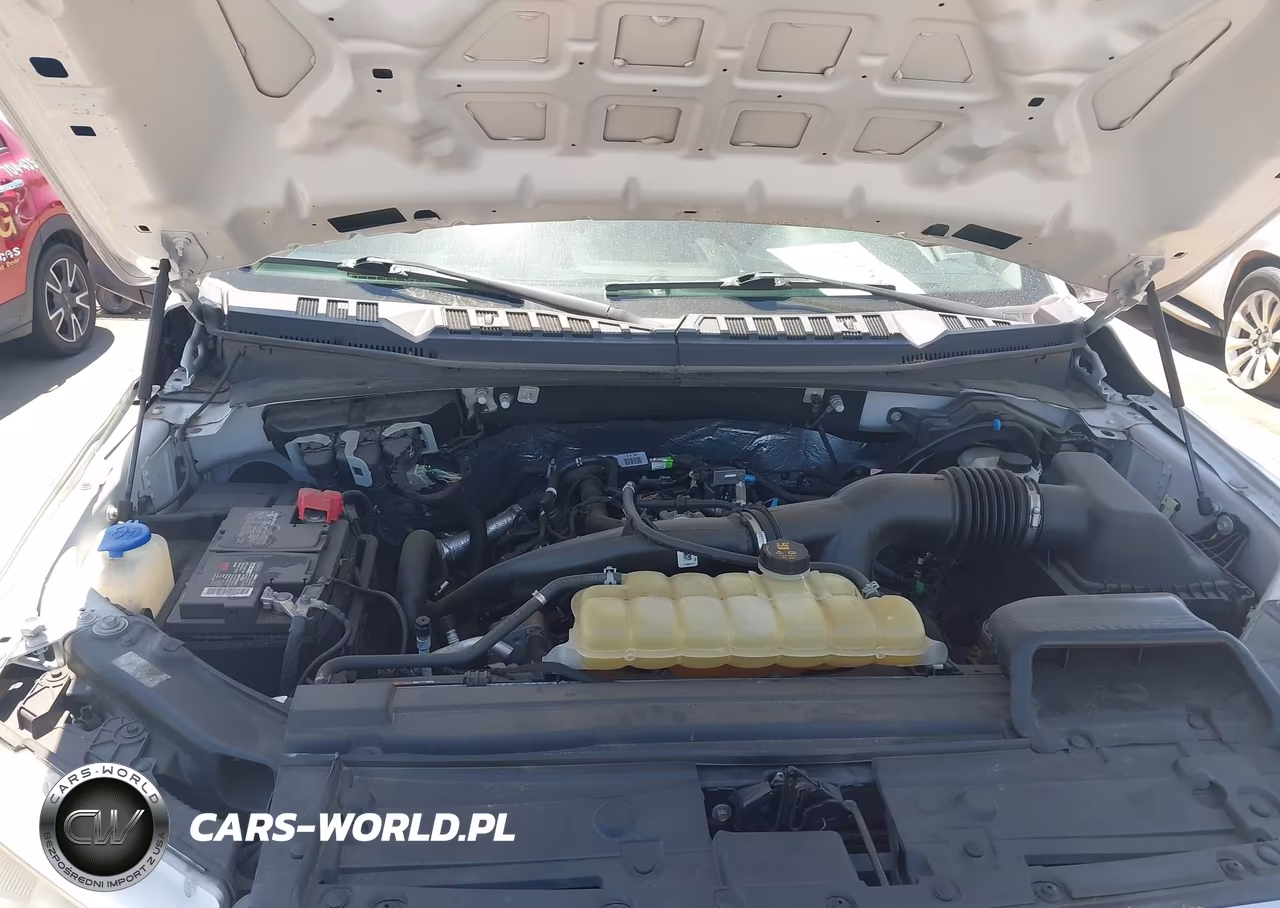 2019 Ford F-150 Xl VIN:1FTEW1EP1KFD24722 - 10