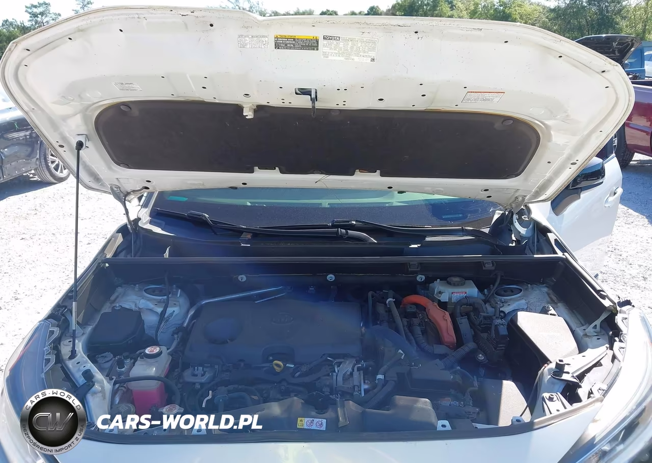 2019 Toyota Rav4 Hybrid Xse VIN:JTMEWRFV4KJ023693 - 10