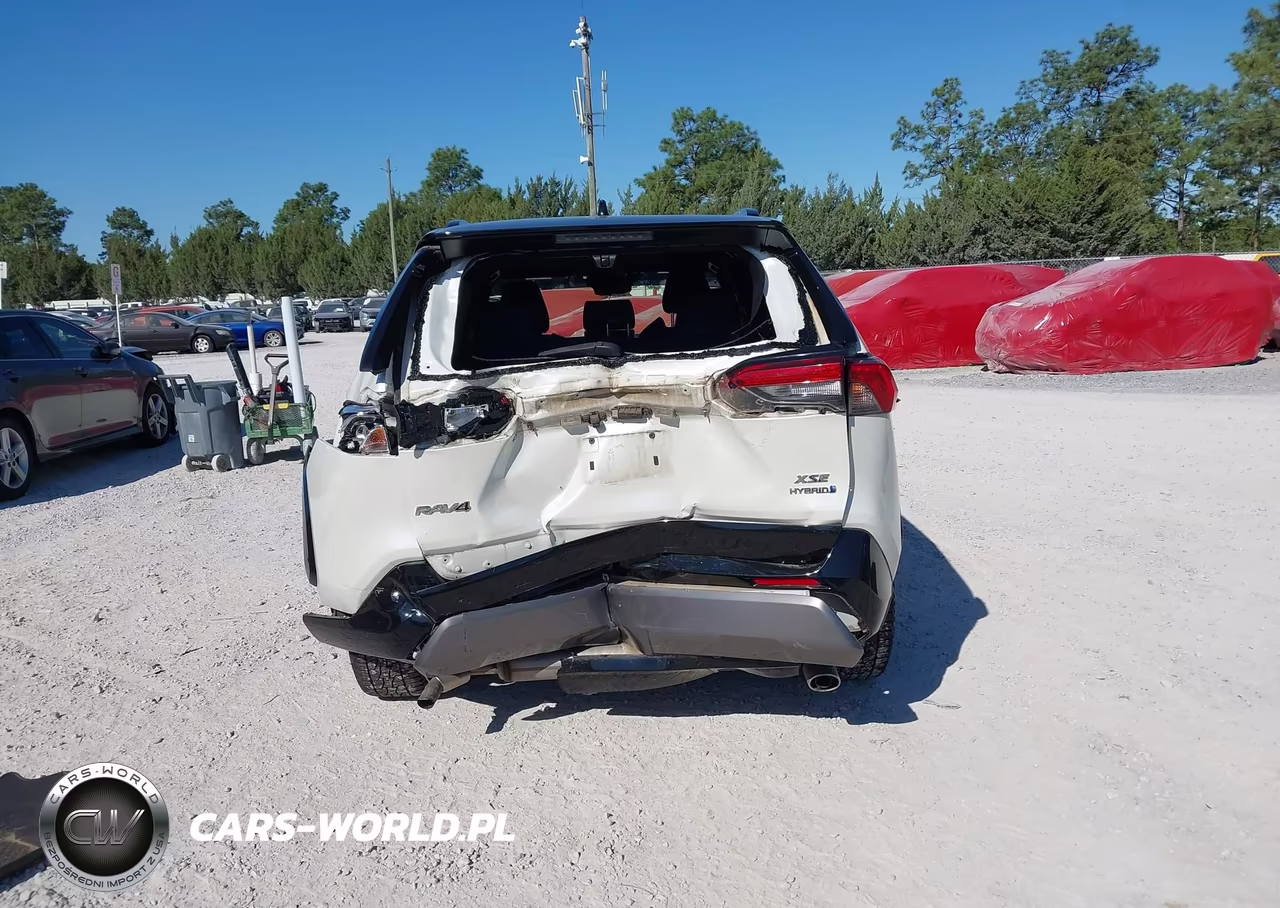 2019 Toyota Rav4 Hybrid Xse VIN:JTMEWRFV4KJ023693 - 16