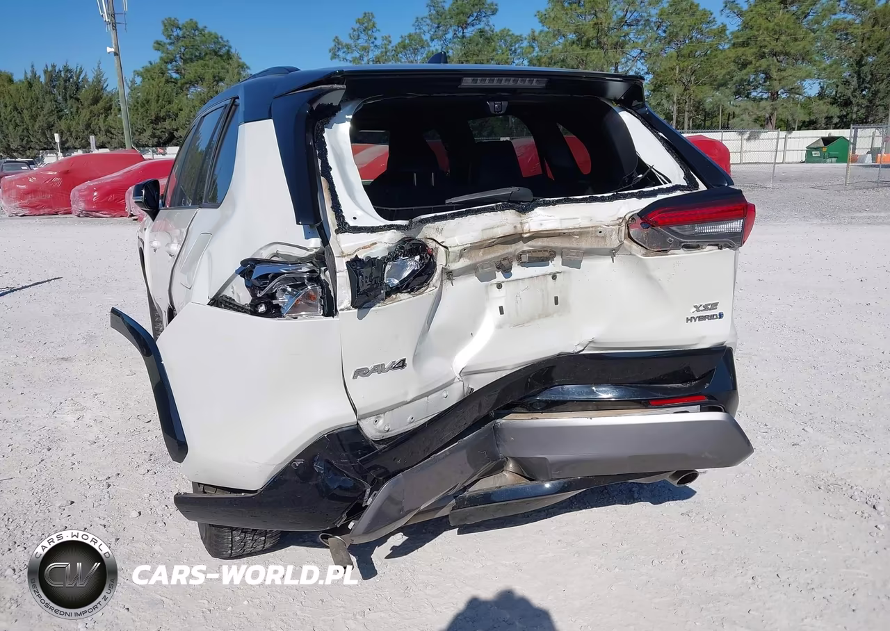 2019 Toyota Rav4 Hybrid Xse VIN:JTMEWRFV4KJ023693 - 6