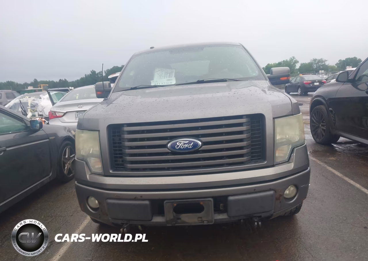 2010 Ford F-150 VIN:1FTEW1C86AKC54314 - 12