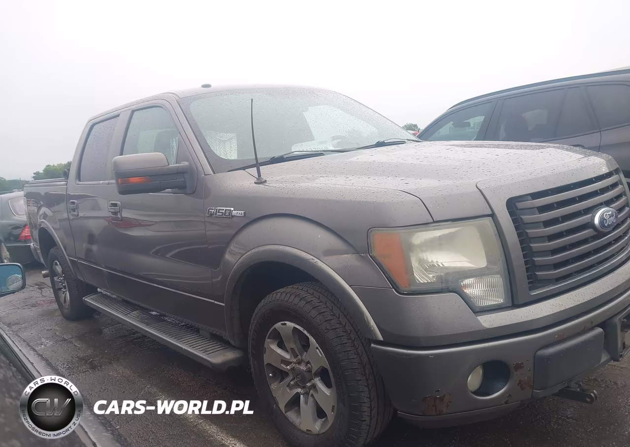 2010 Ford F-150 VIN:1FTEW1C86AKC54314 - 13