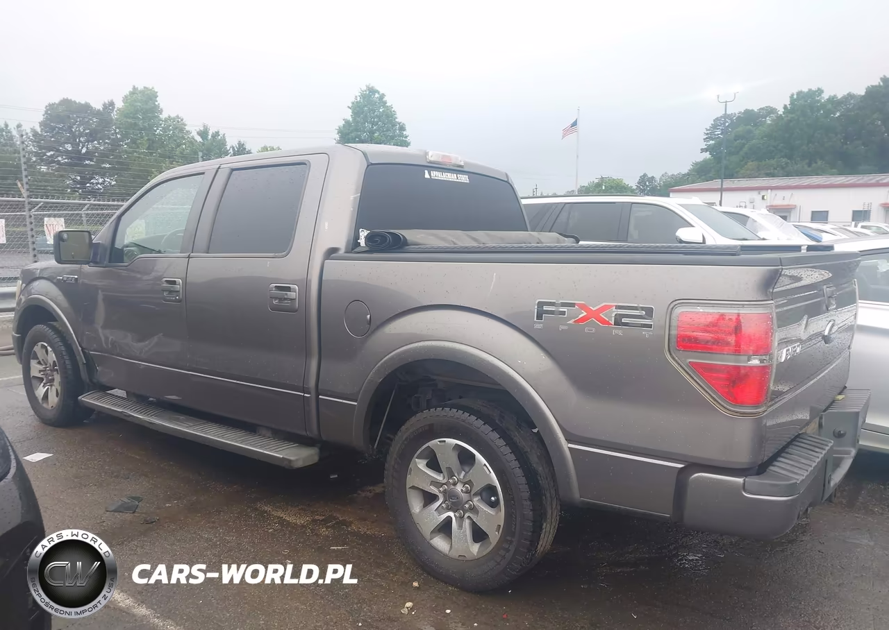 2010 Ford F-150 VIN:1FTEW1C86AKC54314 - 14