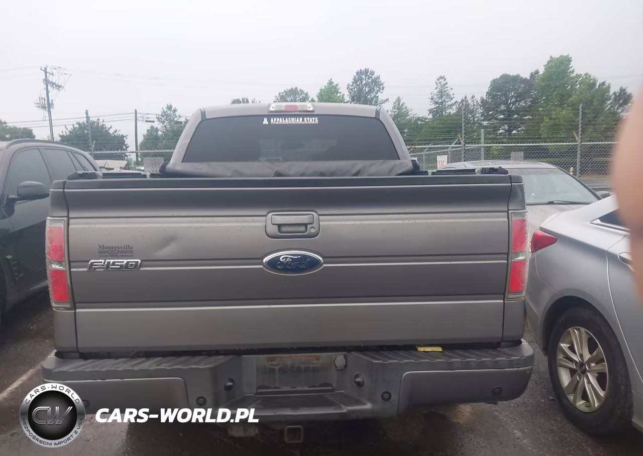 2010 Ford F-150 VIN:1FTEW1C86AKC54314 - 16